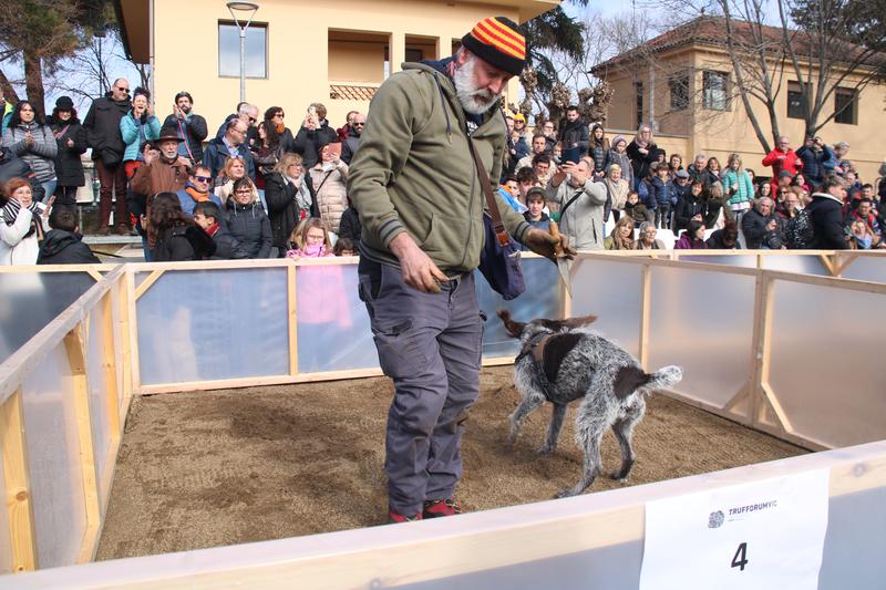 The winner of this year's Truffle dog championship