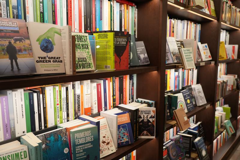 Books on display in Finestres