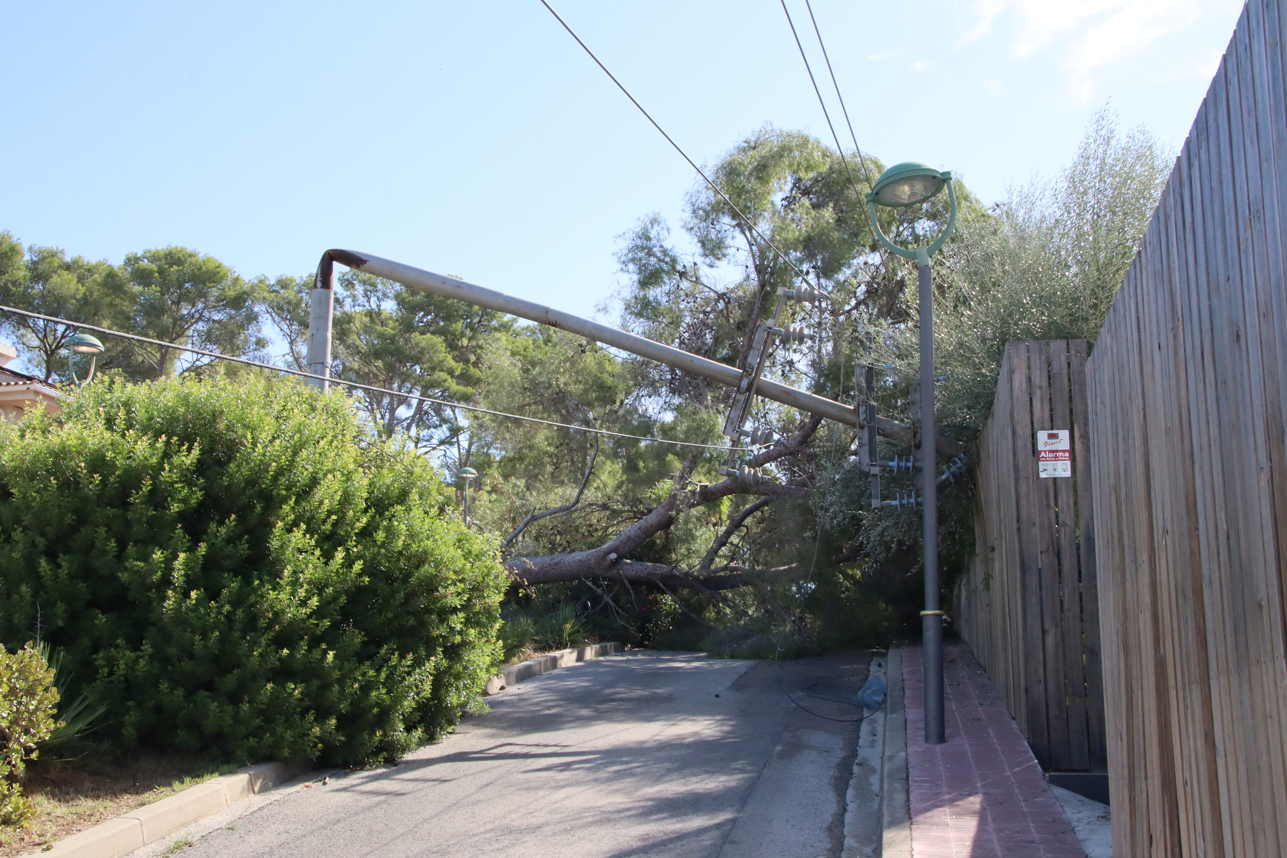 A power pole bent by a fallen tree in Monnars