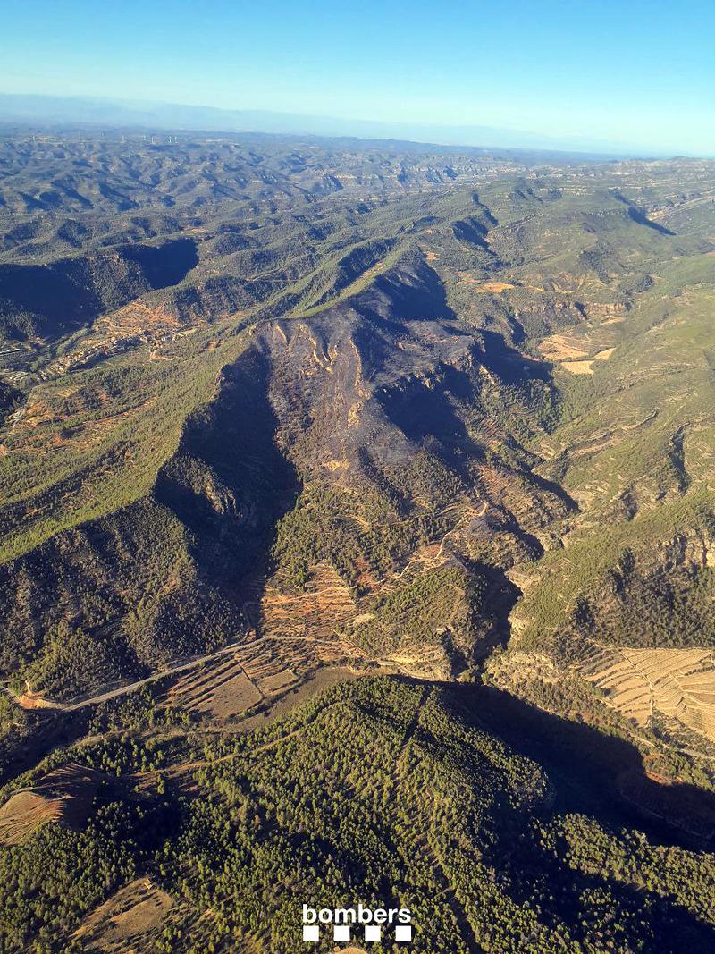 Burned area in Cabacés, in the Priorat region