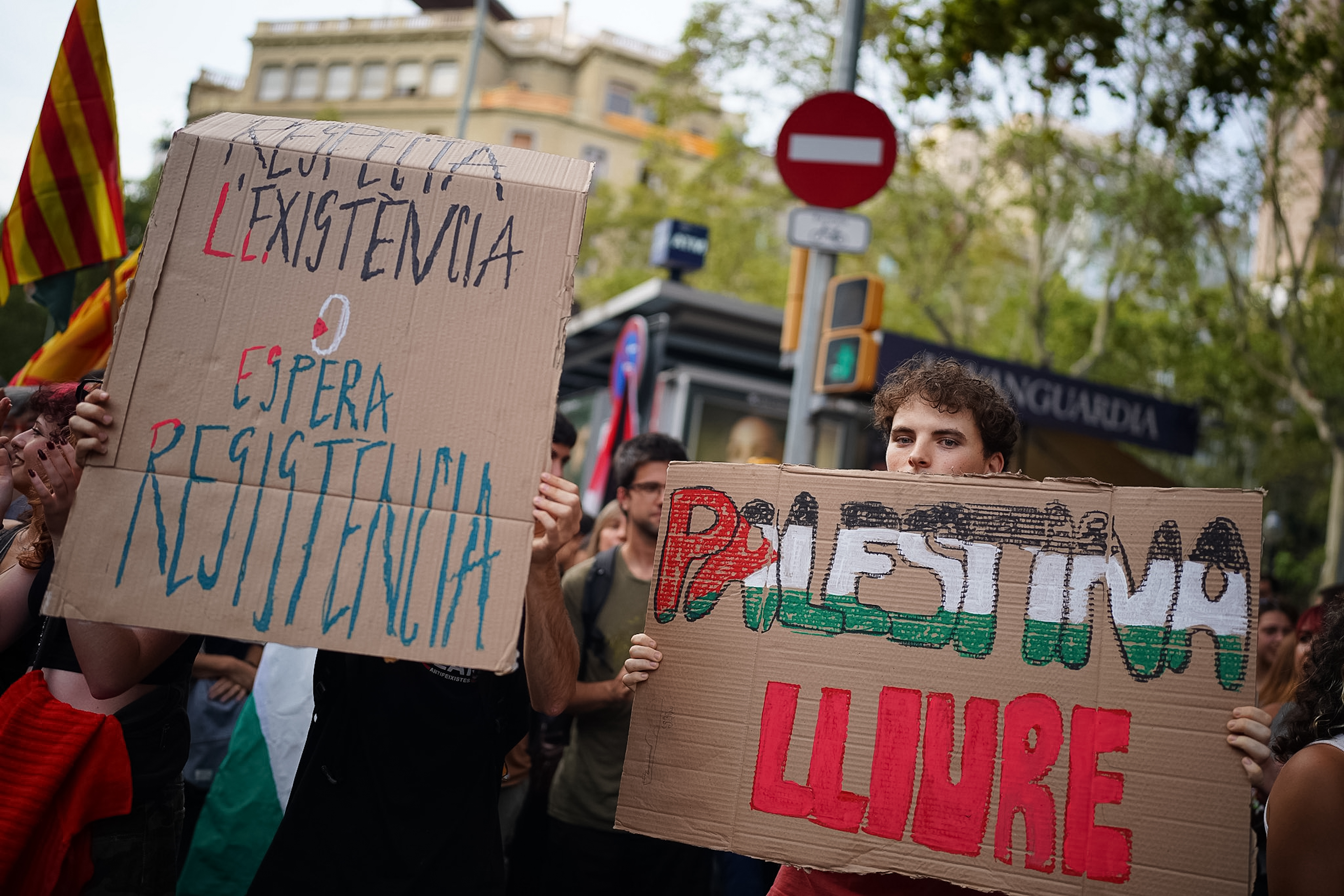 Pro-Palestine signs at the rally