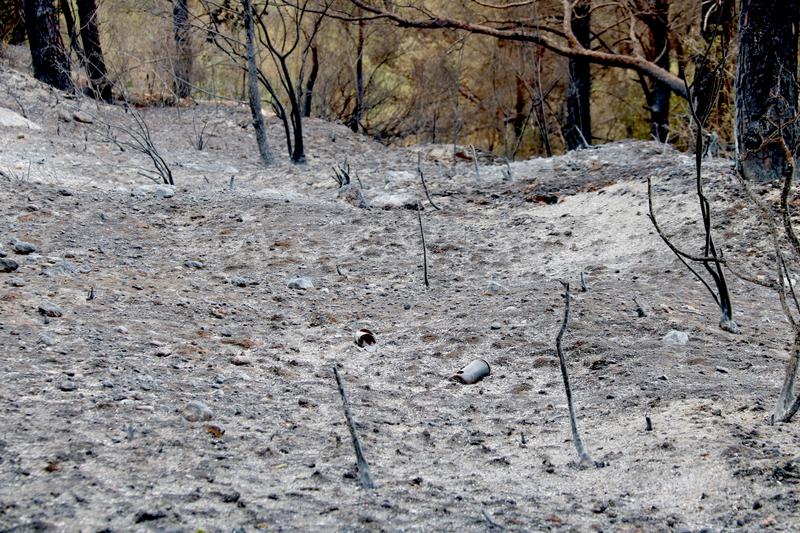 L'alcalde de Paüls sobre el foc: "Impacta moltíssim veure el poble arrasat. Ens hem d'adaptar a la nova i dura realitat"