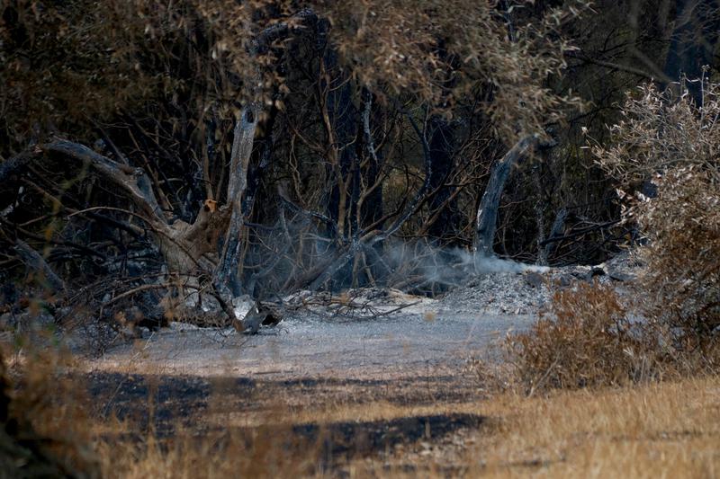Smoke still rises from burned forest areas
