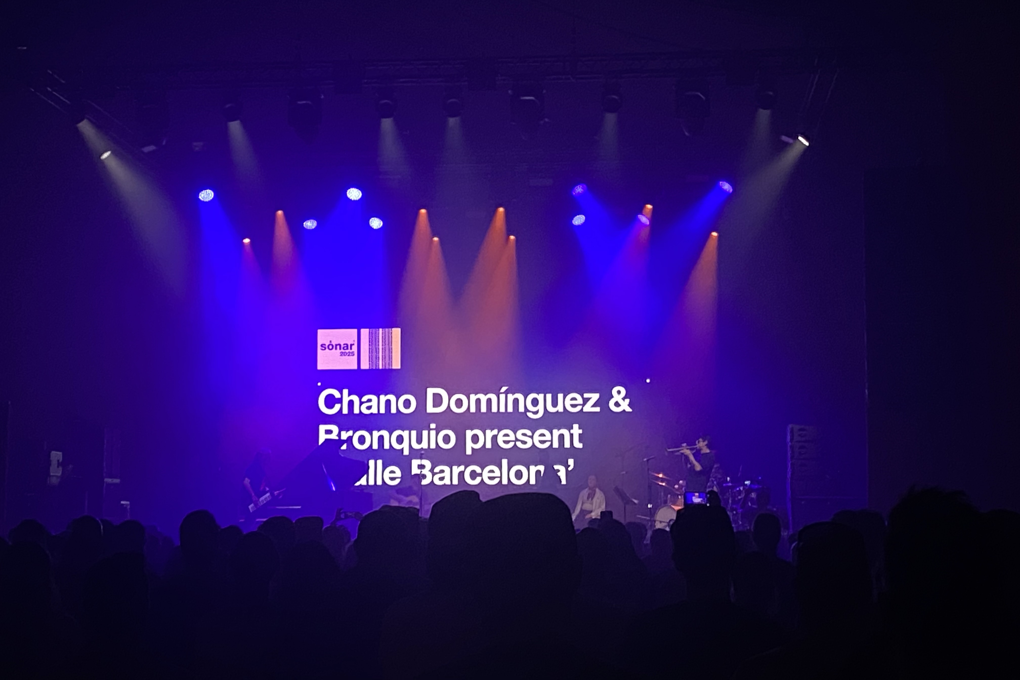 A crowd of people at SonarHall during the Sónar Festival