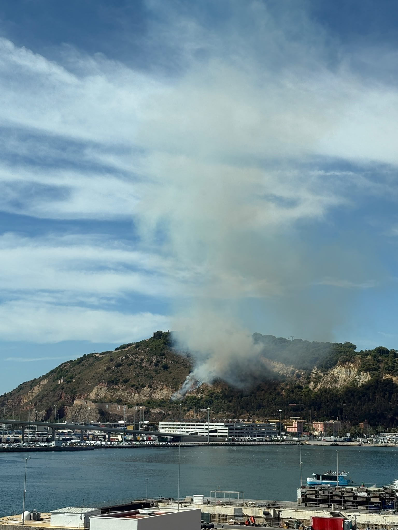 Vegetation fire on Montjuïc mountain