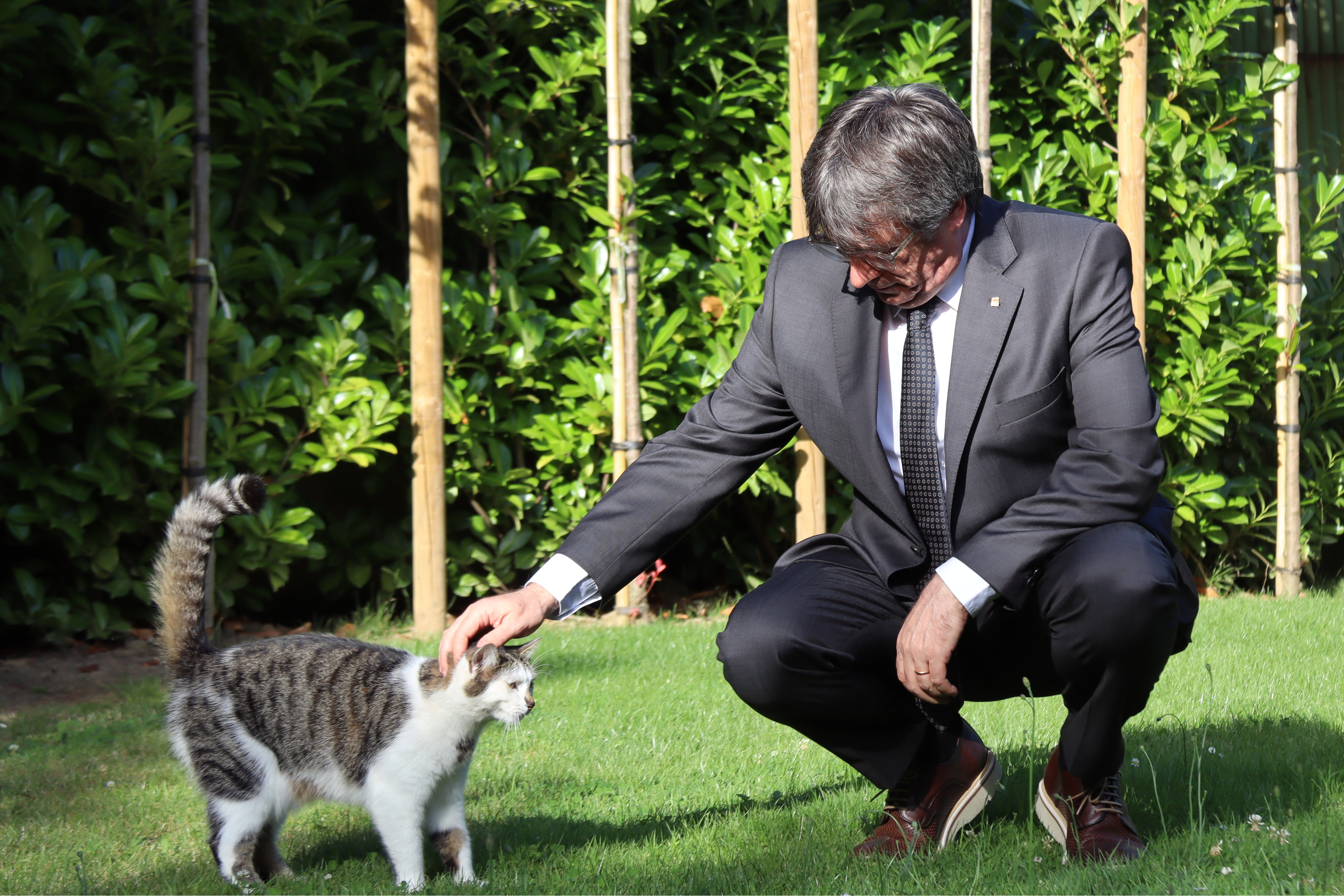 Carles Puigdemont in Waterloo, Belgium, on Saturday