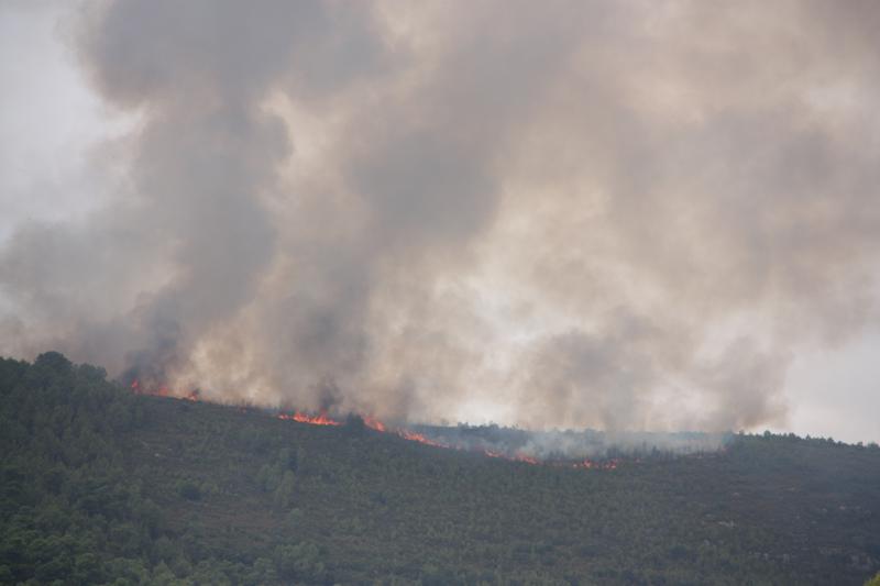 40 confinaments per incendis forestals des del juny amb més de 140.000 afectats: "Dins de casa és on estàs més segur"