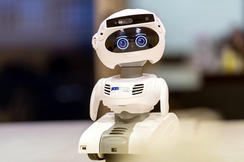 One of the ARI social robots to complement home care