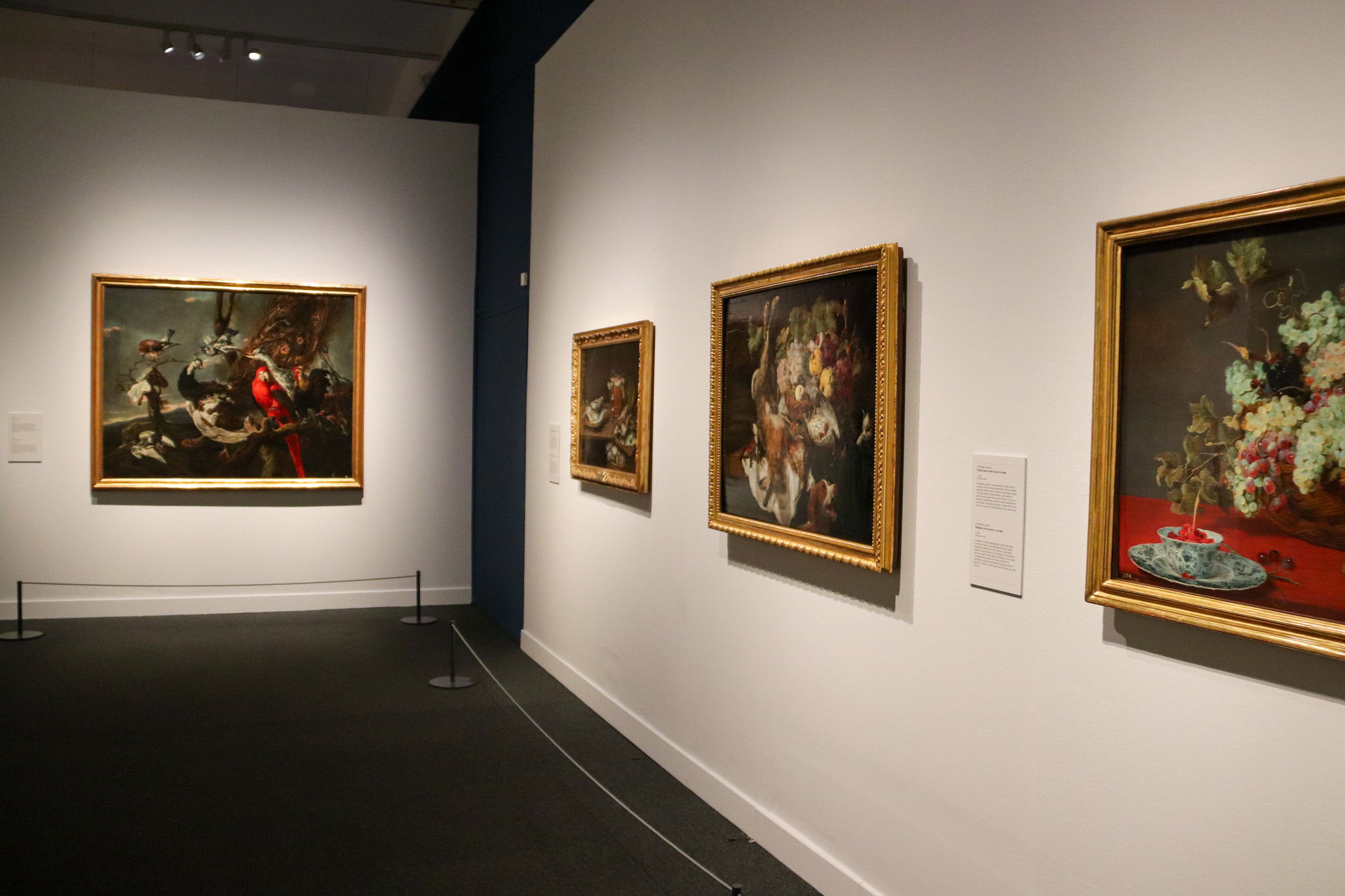 Some of the stil lifes at the exhibition