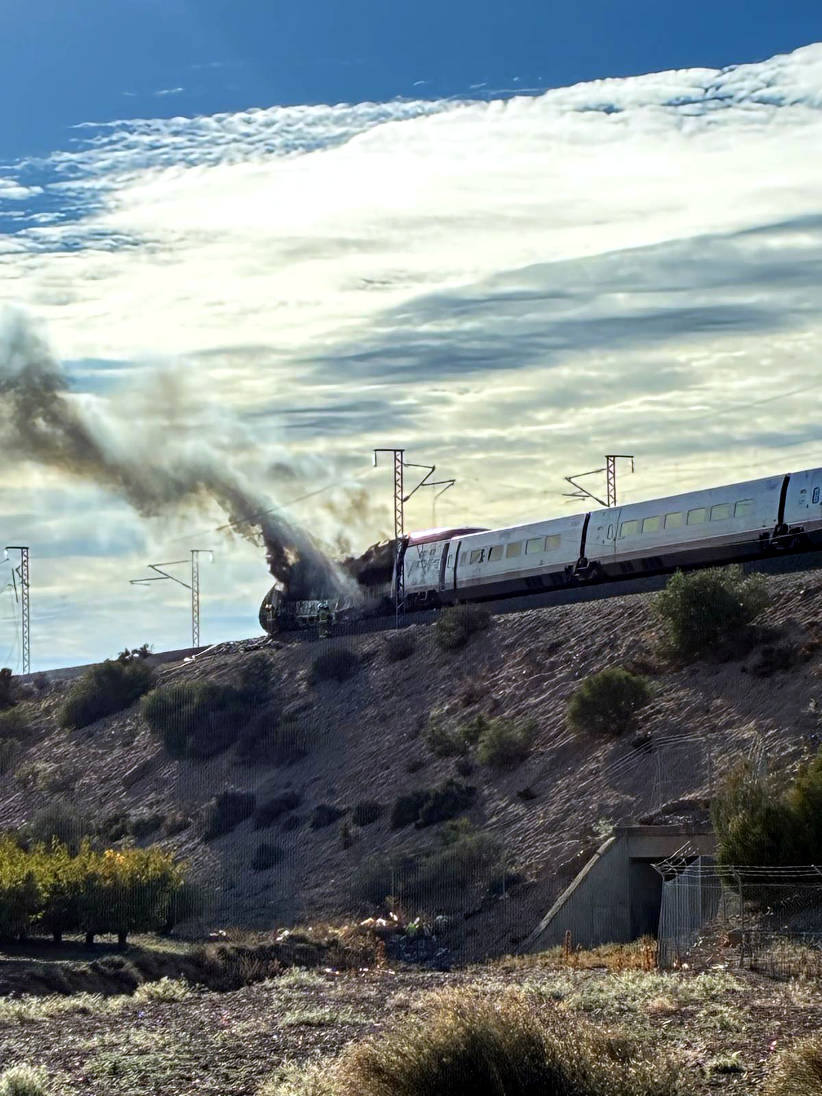 The AVE train affected by the fire near Ricla, Zaragoza