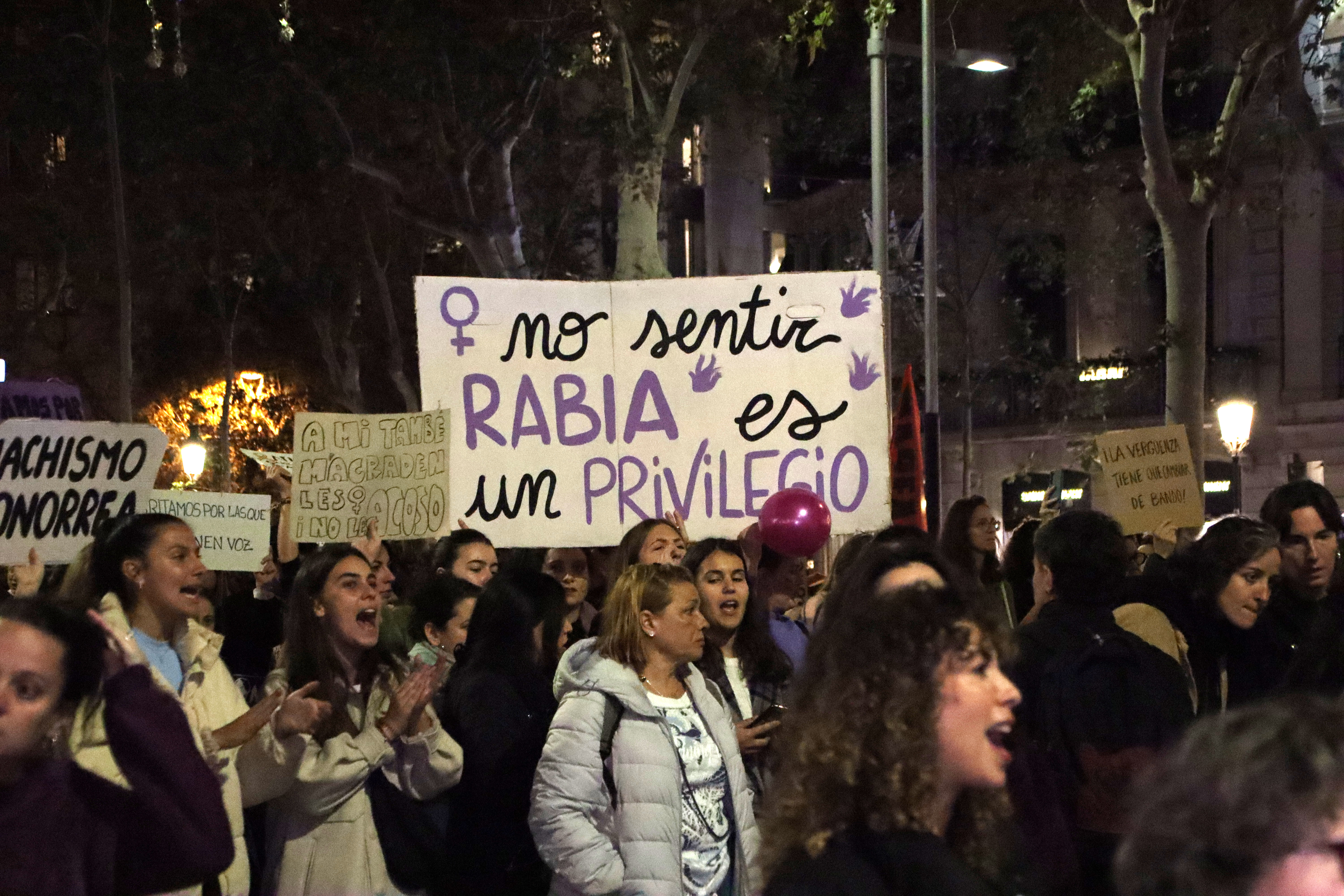 Demonstrators rally on the International Day for the Elimination of Violence Against Women on November 25.