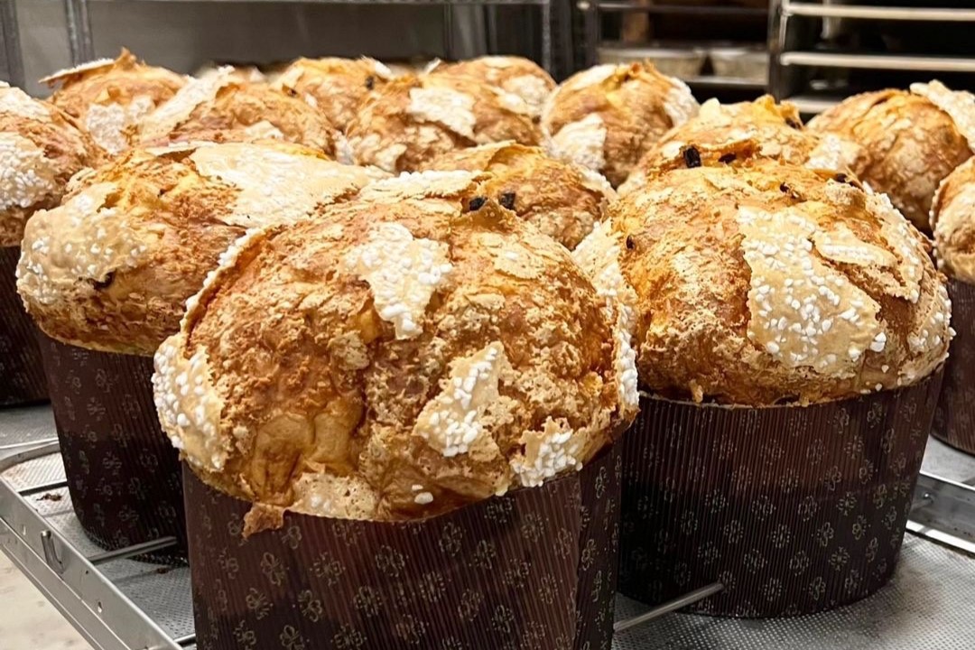 Panettone at the bakery