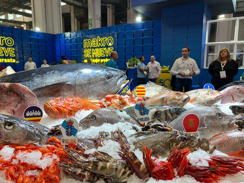 Several examples of fish fished in Catalonia's coastline as well as in other parts of Spain exhibited at Gastronomic Forum Barcelona on November 7, 2022