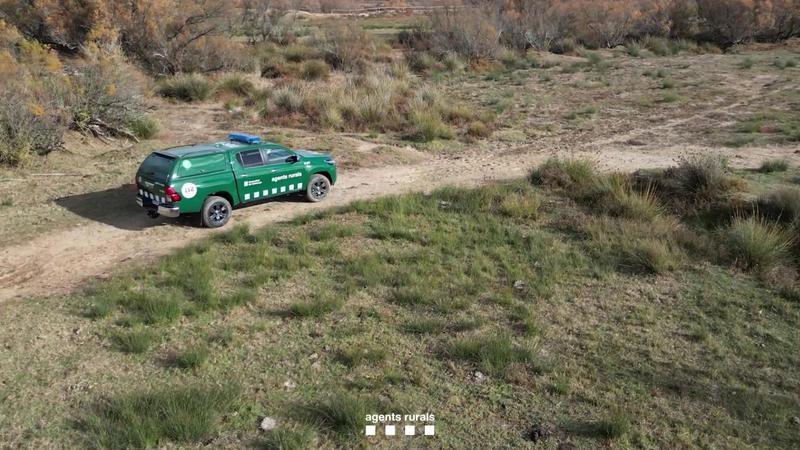 Els Agents Rurals despleguen des d'aquest dilluns un dispositiu especial amb més 150 efectius per l'eclipsi