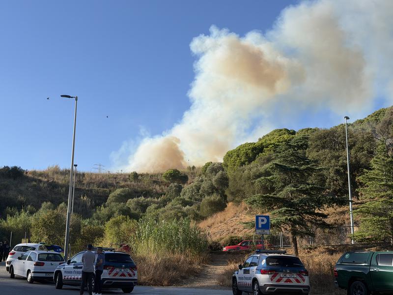 Wildfire in Collserola, seen from Canyelles