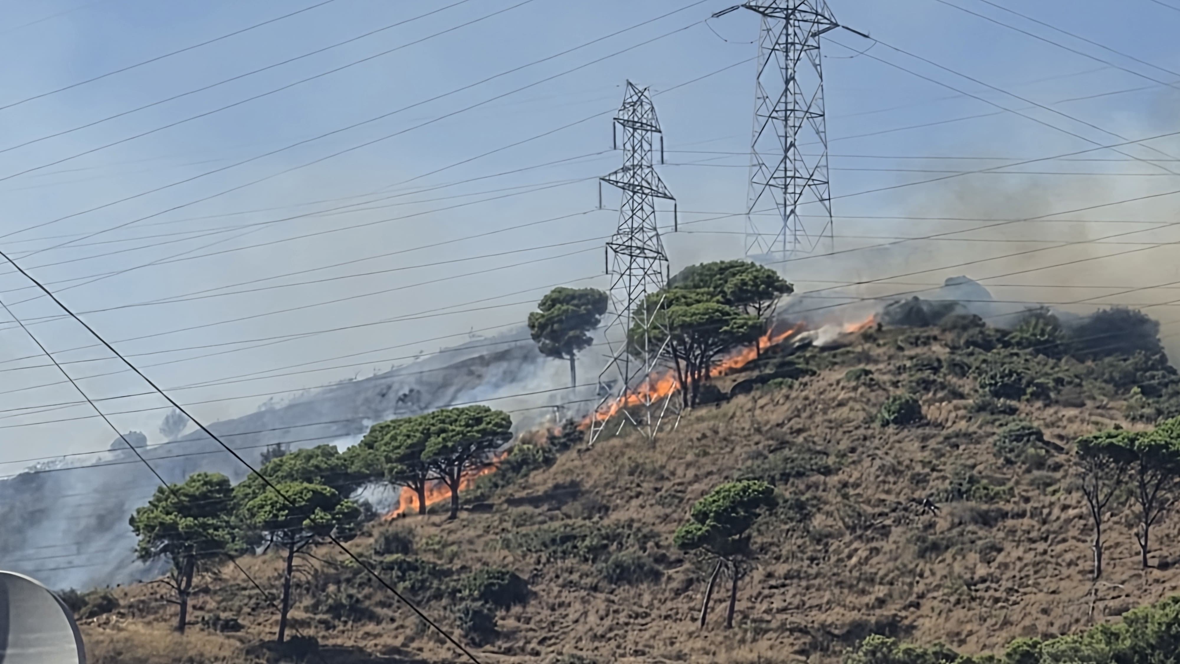 Vegetation burning in the wildfire in Barcelona's Canyelles neighbourhood.