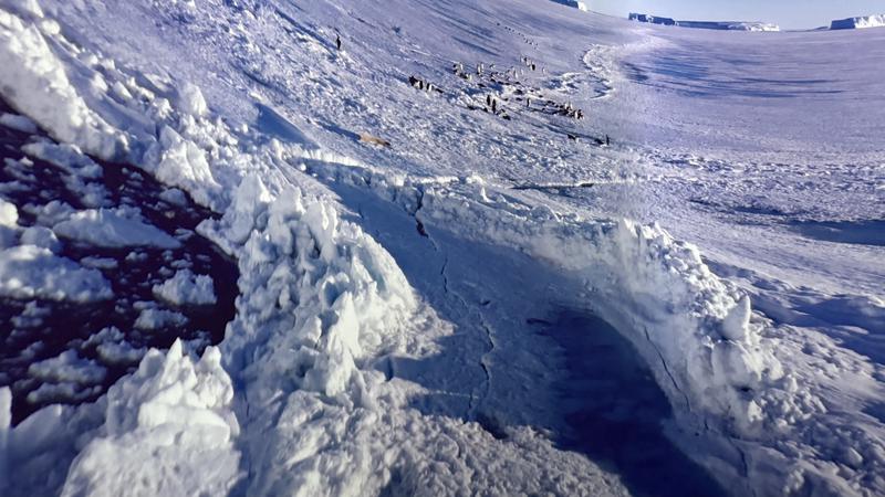 A scene from the 'Antarctica Experience' in Barcelona