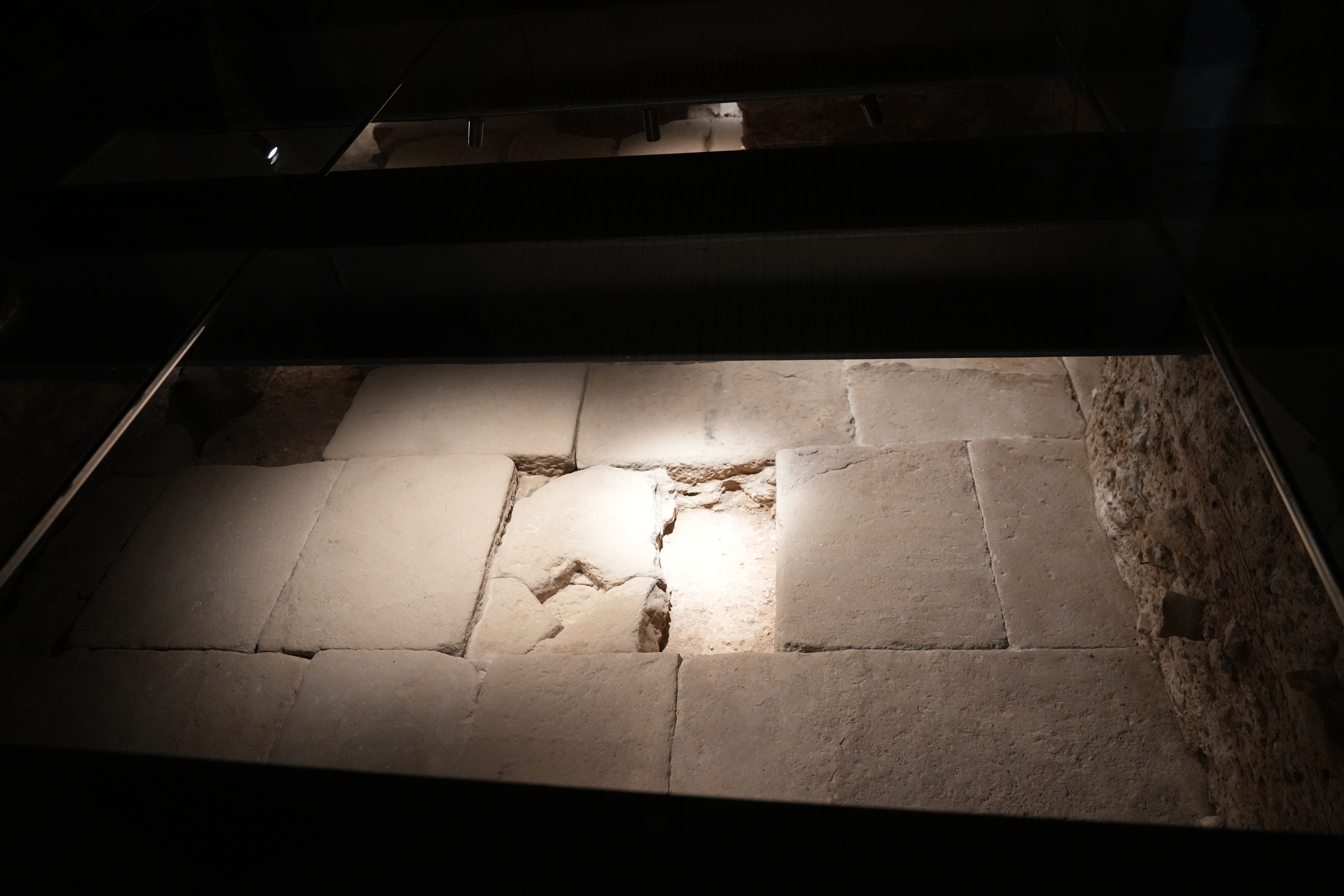 Remains found in the archaeological excavation at the Gran Hotel Barcino