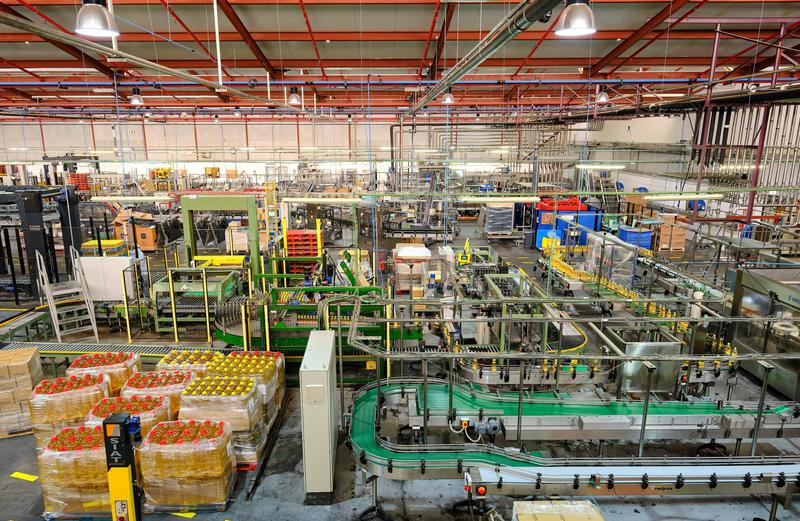 Olive oil bottling company in southern Catalonia
