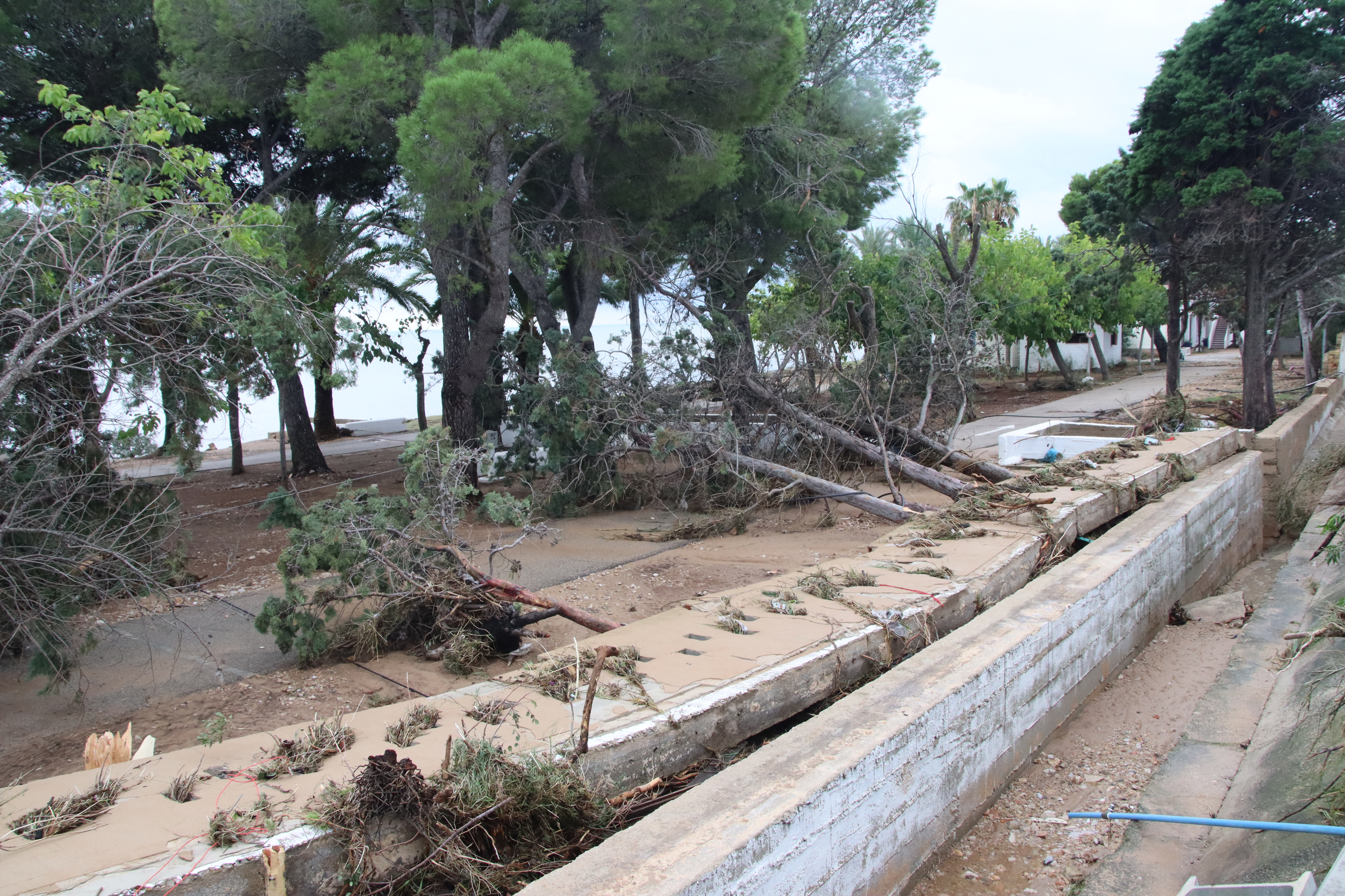 Damage at a campsite