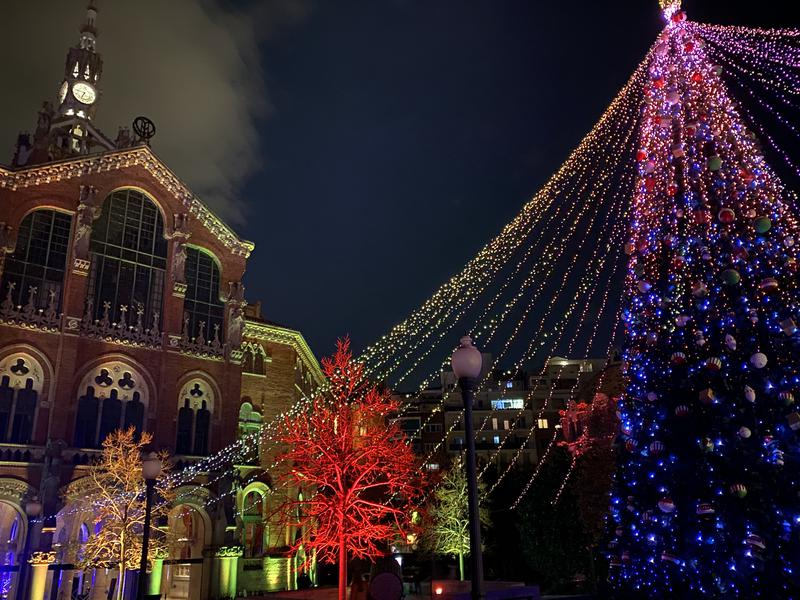 The main Christmas tree at Els Llocs de Sant Pau