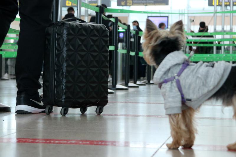 One passenger at Barcelona airport carries his hand luggage before crossing the security screening