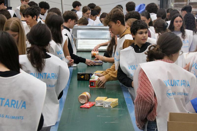 Dozens of volunteers sort out food pick up during the 2023 Gran Recapte initiative on November 27, 2023