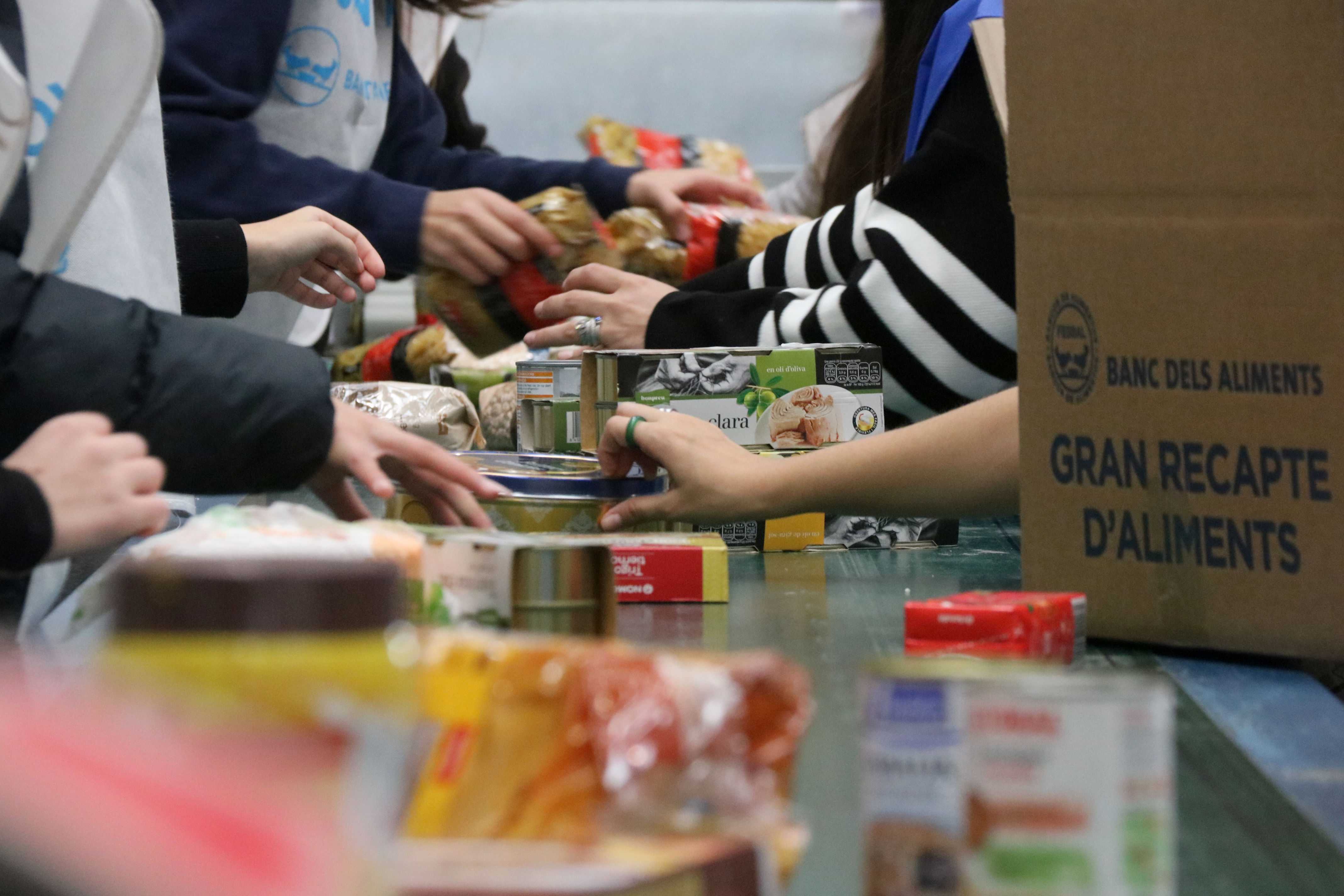 Food donated during the 2023 Gran Recapte initiative being classified by dozens of volunteers on November 27, 2023