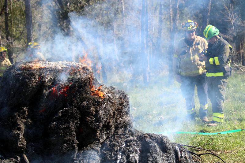 Forest rangers and firefighters in Avinyó