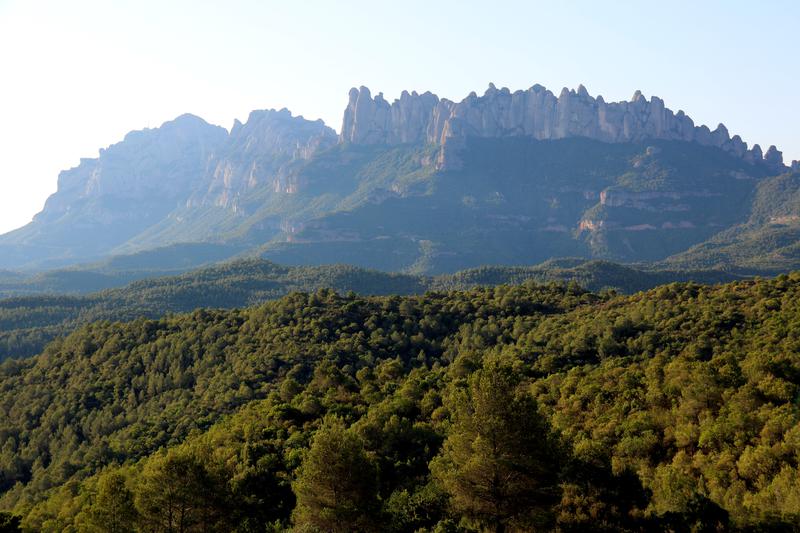 Montserrat mountain surrounded by forests