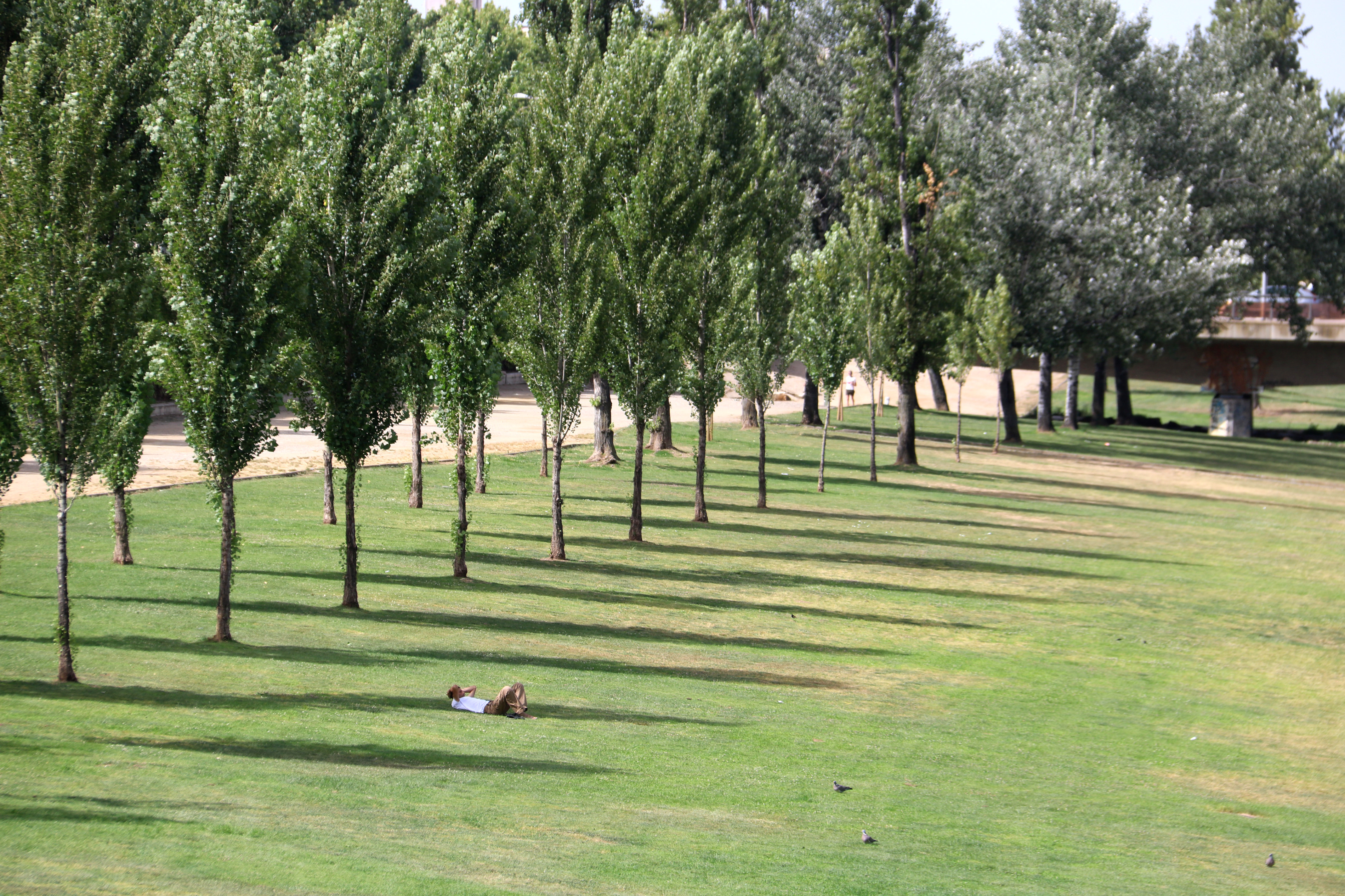 A man lies down in the shade during the heatwave in Lleida