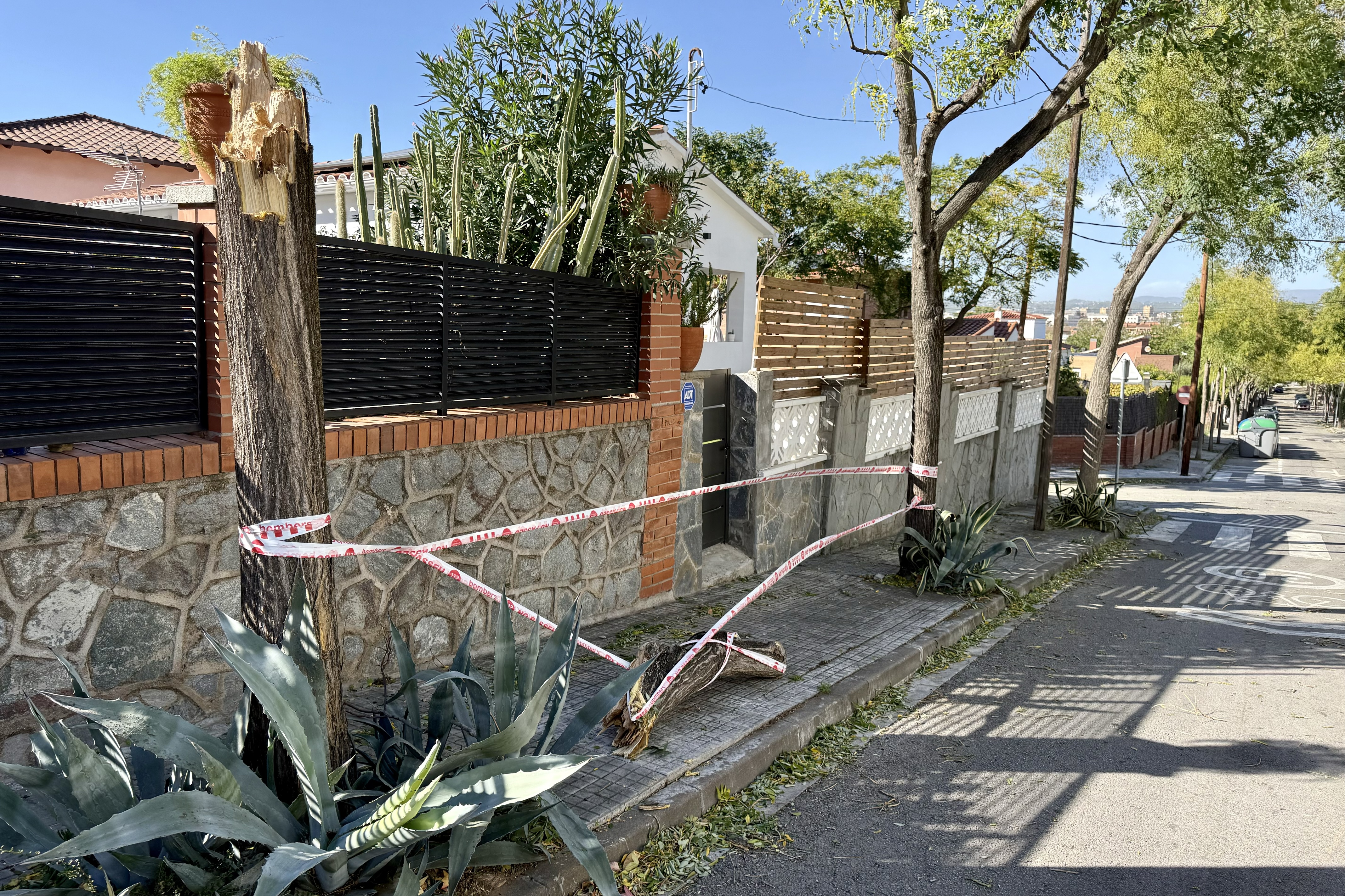 Fallen trees in Sant Cugat del Vallès
