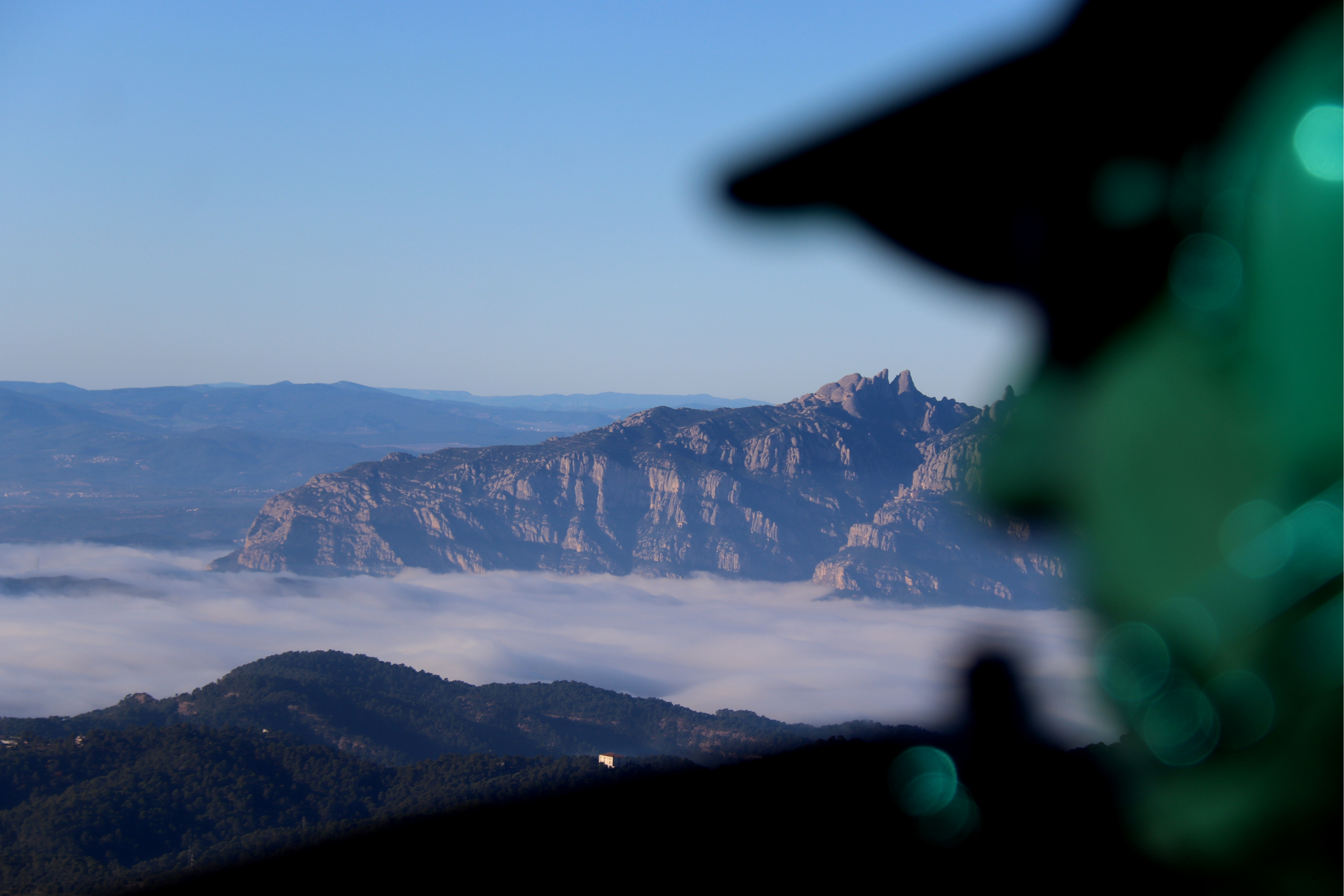 Forest rangers fly over Collserola Park to check ASF restrictions are being followed