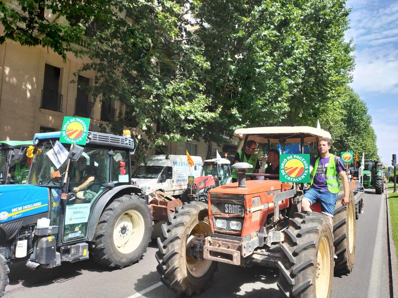 Farmers protesting for drought relief arrive in Madrid in 2023