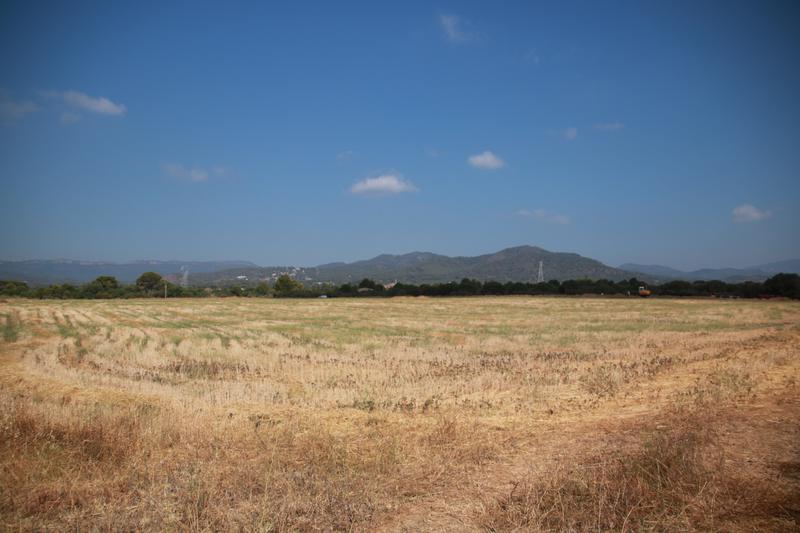 The Montbrió del Camp area where the eclipse observation point will be located on August 12