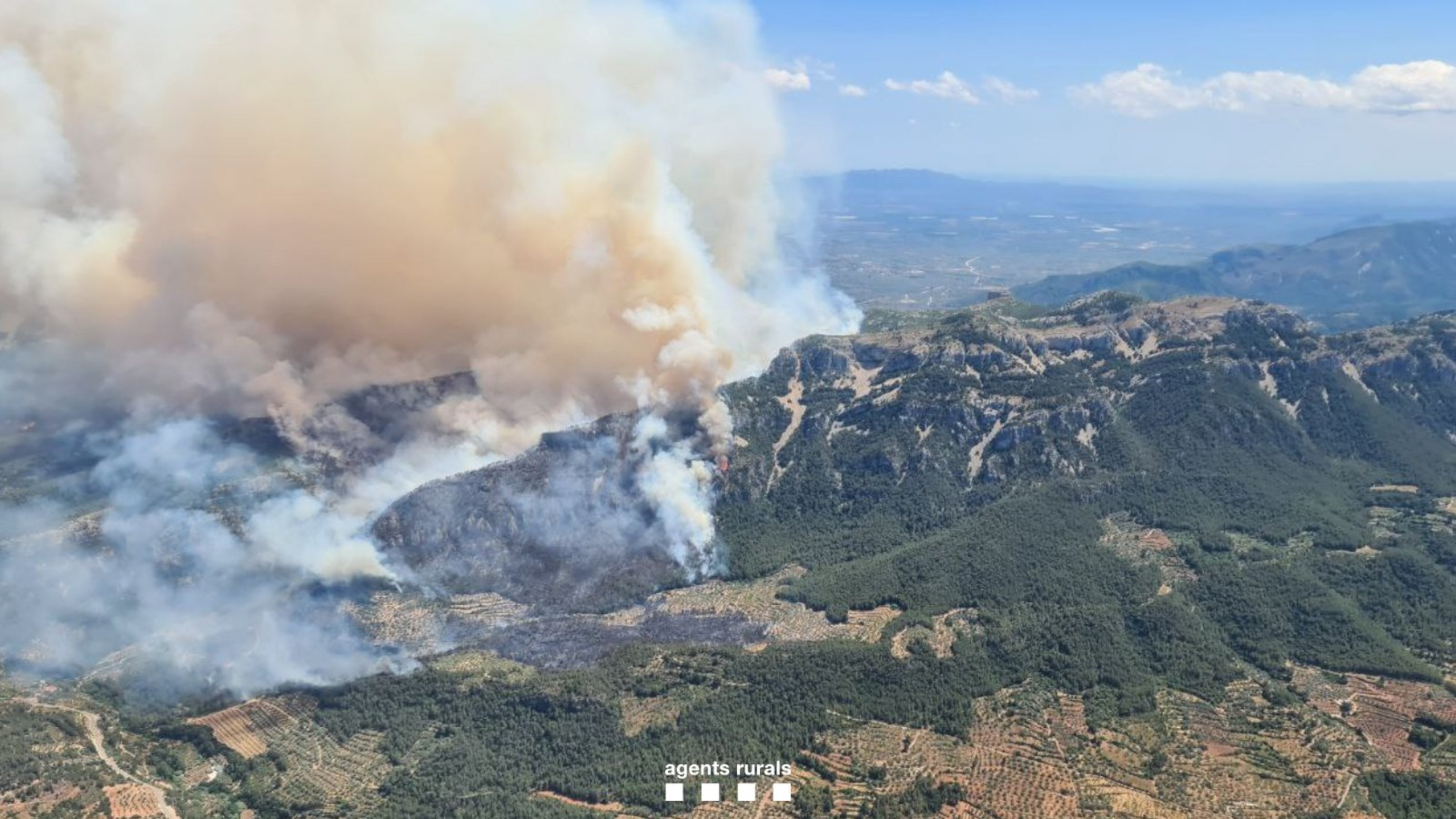 The wildfire near the town of Paüls, in the Baix Ebre region