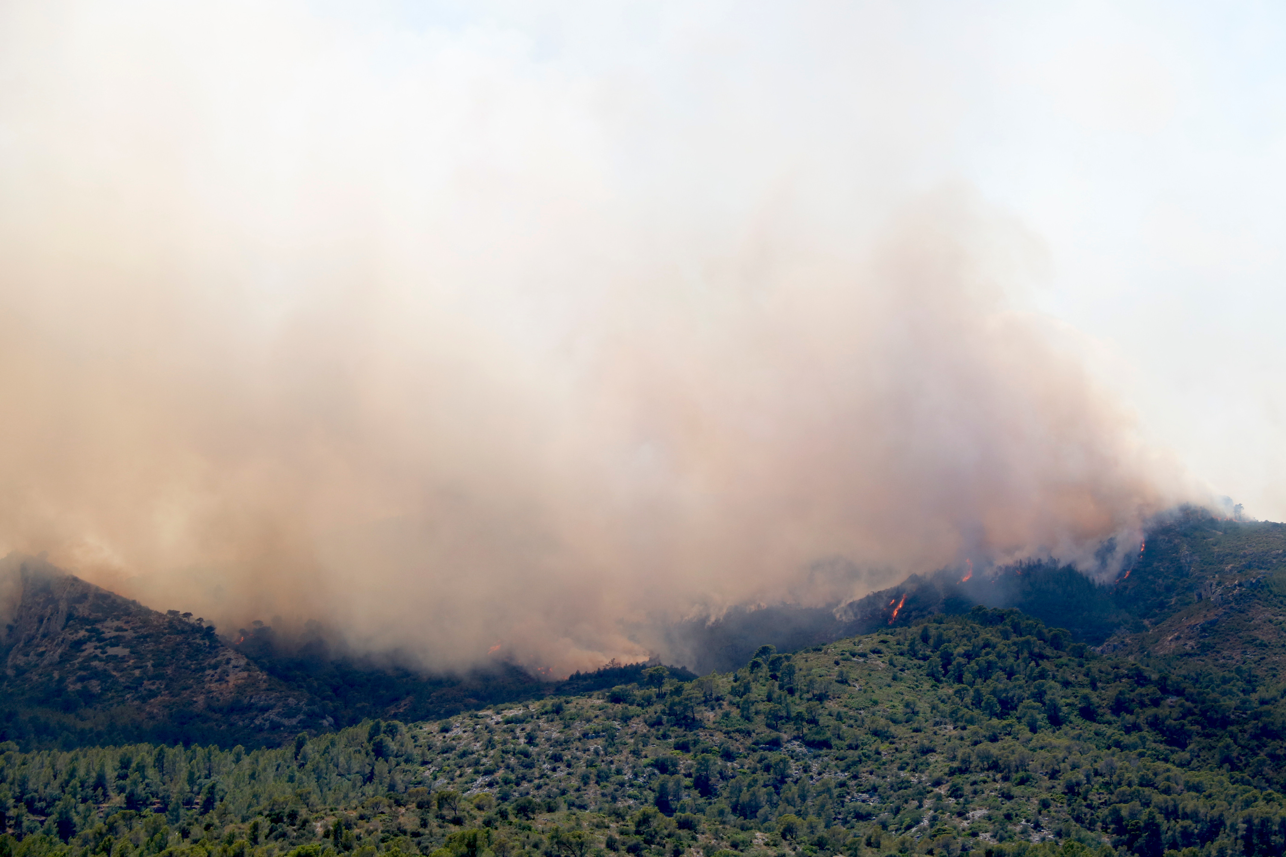 The wildfire in the Baix Ebre region, southern Catalonia