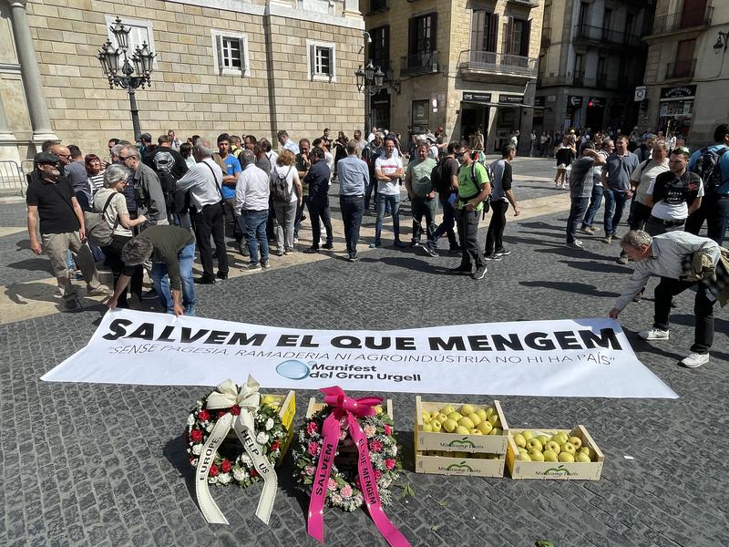 Farmers place fruit and flowers with messages such as 'Europe, help us' and 'Save what we eat' on the ground at Barcelona's plaça de Sant Jaume on May 24, 2023
