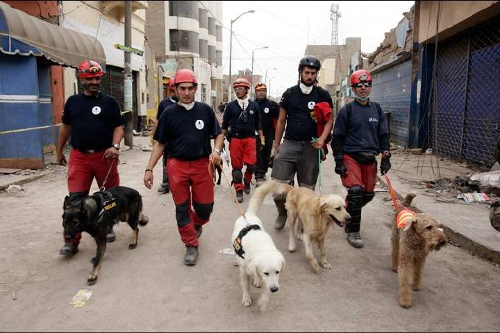 K9 Creixell during a rescue mission