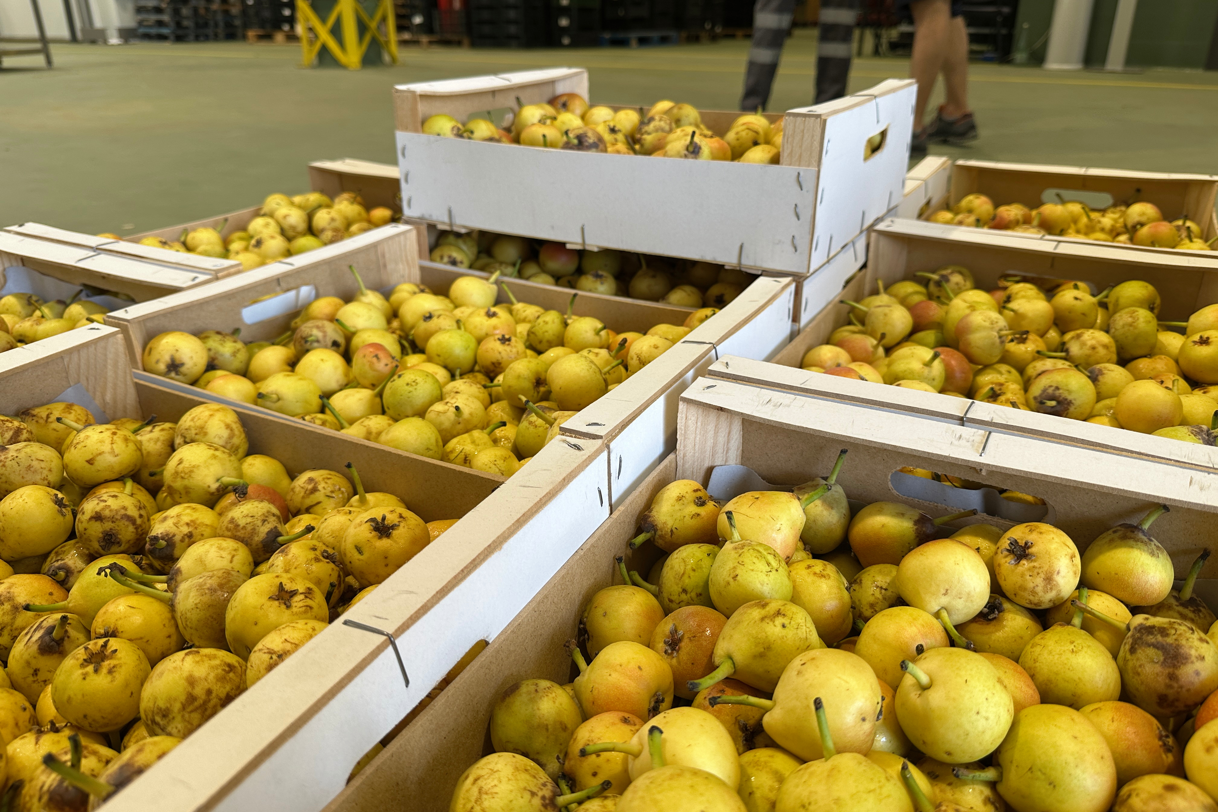 Foodback food recovery center in Barcelona