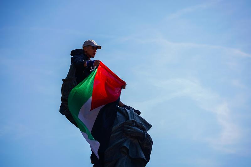 A pro-Palestine activist holds a flag during a demonstration