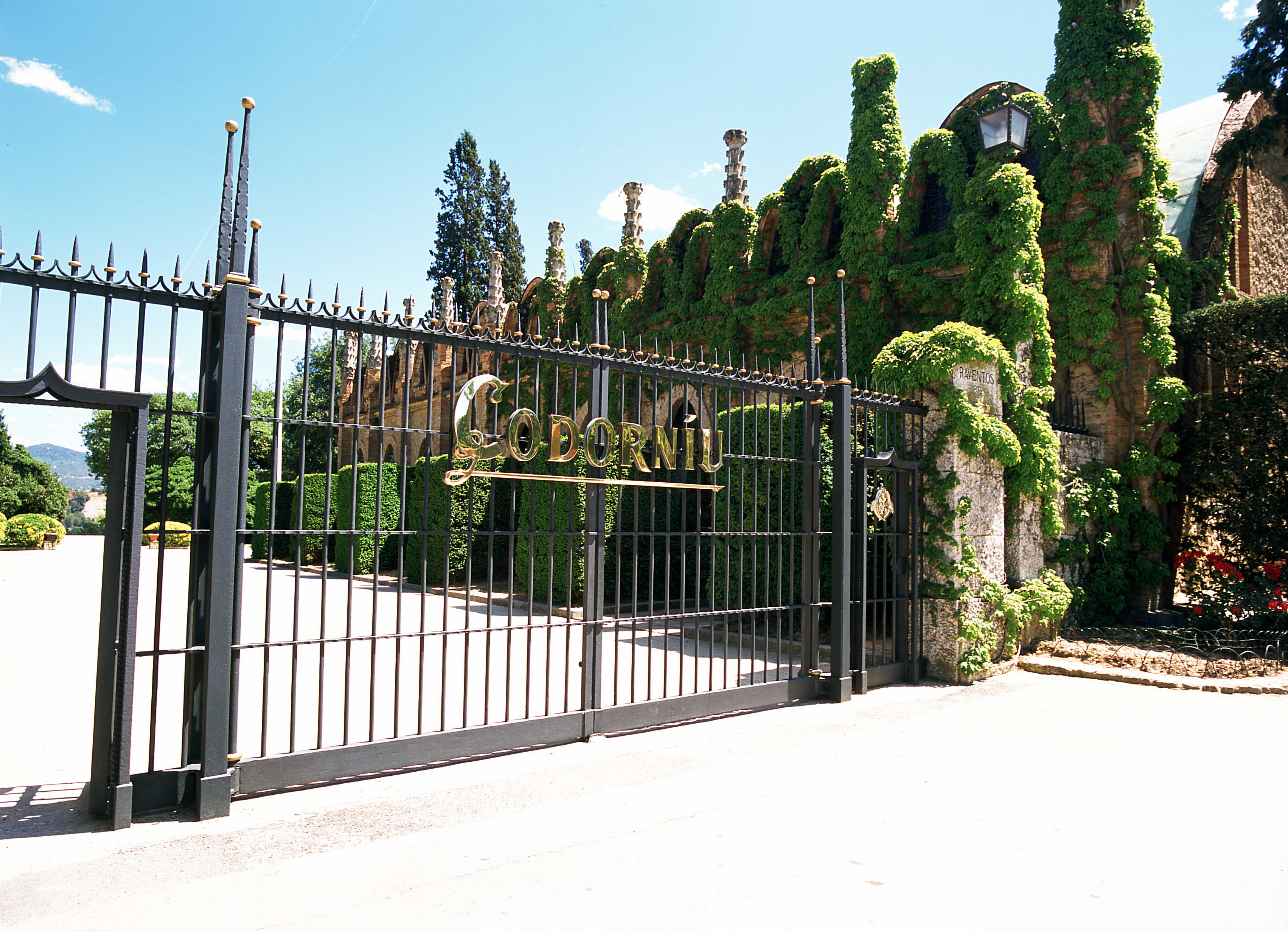 Majority shareholder of <strong>Codorn&iacute;u </strong>entrusts sale of cava manufacturer