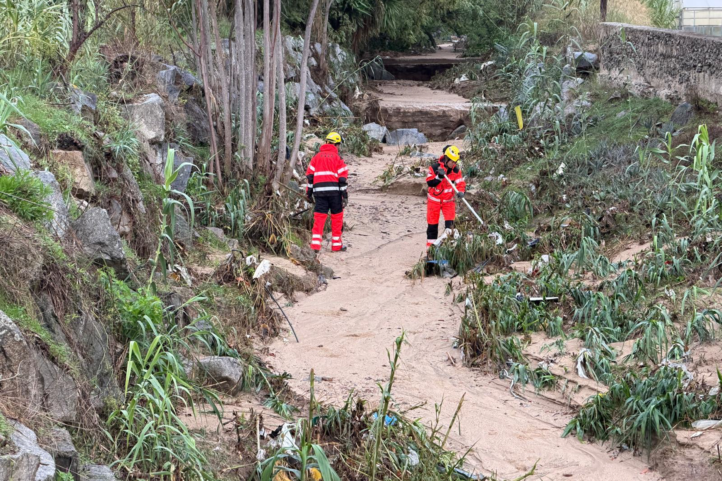 Firefighters conducting a search in the Cabrera stream, where a woman was swept away.