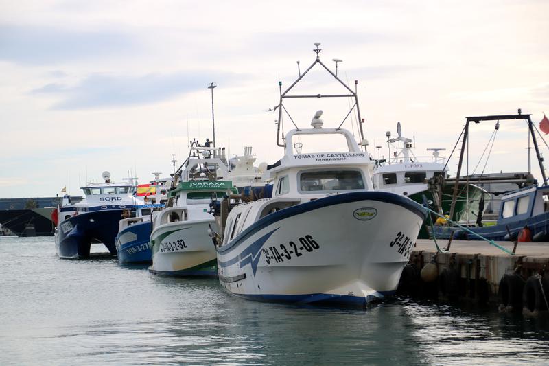 Ships docked in the Port of Tarragona