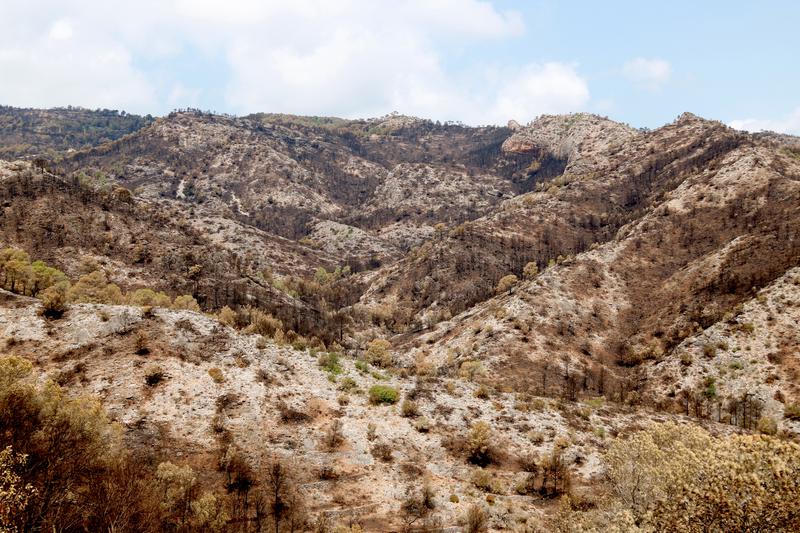 L'Ajuntament de Tortosa decreta un dia de dol oficial per la mort del bomber a l'incendi de Paüls
