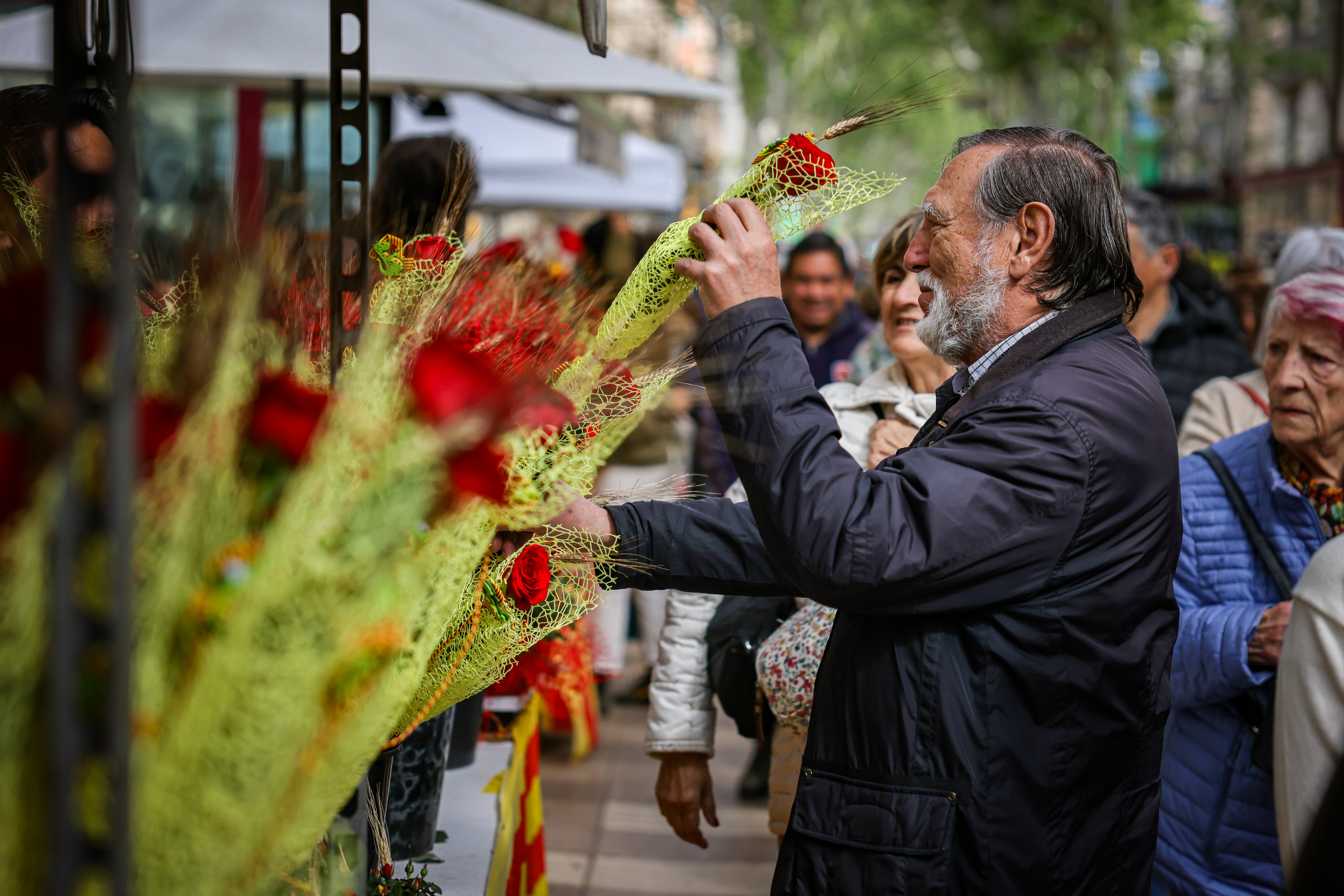 A man selects a rose to buy during Sant Jordi on the streets of Barcelona on April 23, 2024