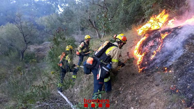 Firefighters working during the wildfire in Tortosa's Coll de l'Alba on February 5, 2023
