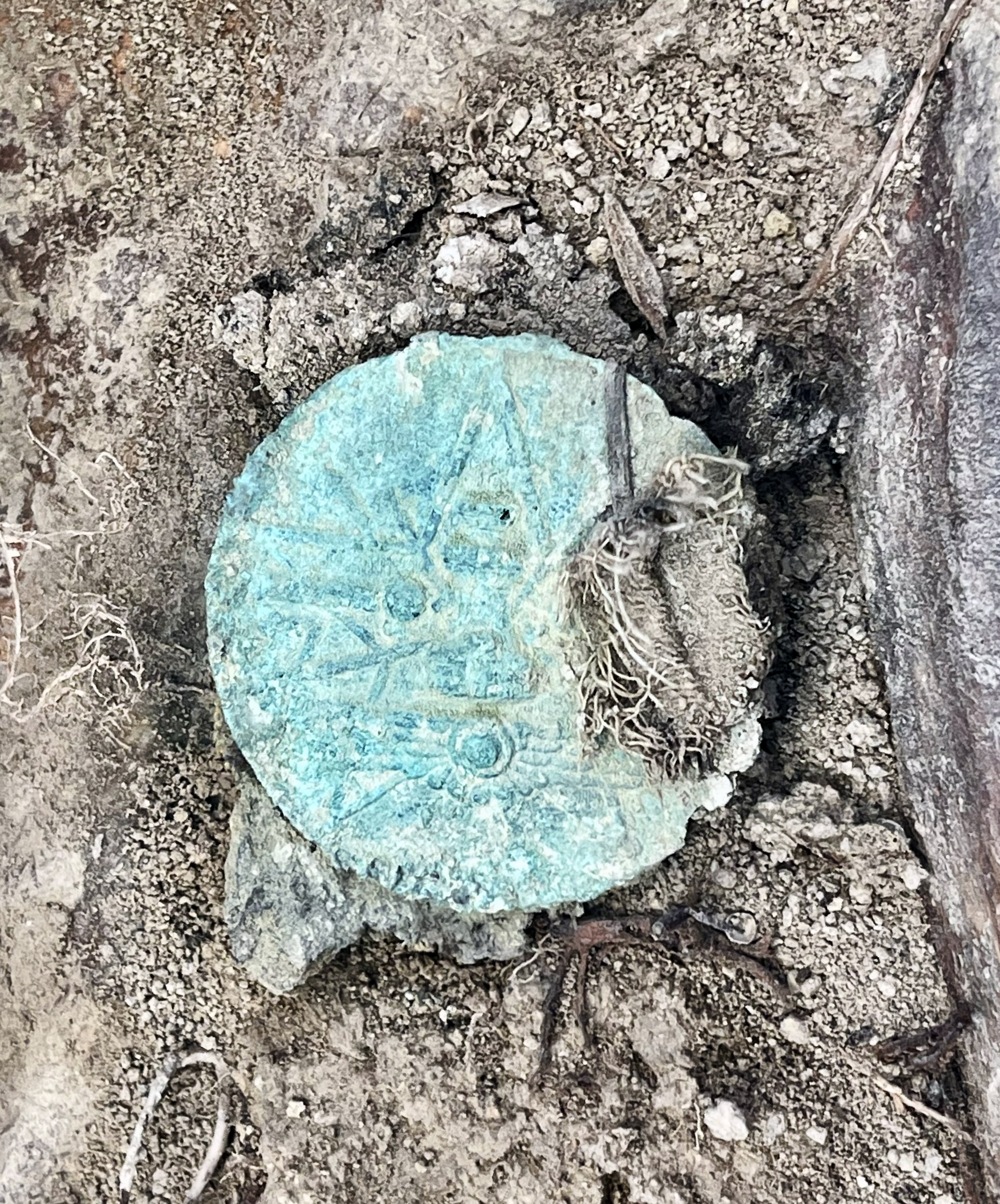 A badge recovered among the skeletal remains of Republican soldiers from the Spanish Civil War found in the Era de Cal Lico mass grave in Alentorn