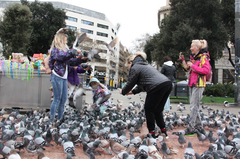 Tourists feeding pigeons at Plaça de Catalunya, Barcelona