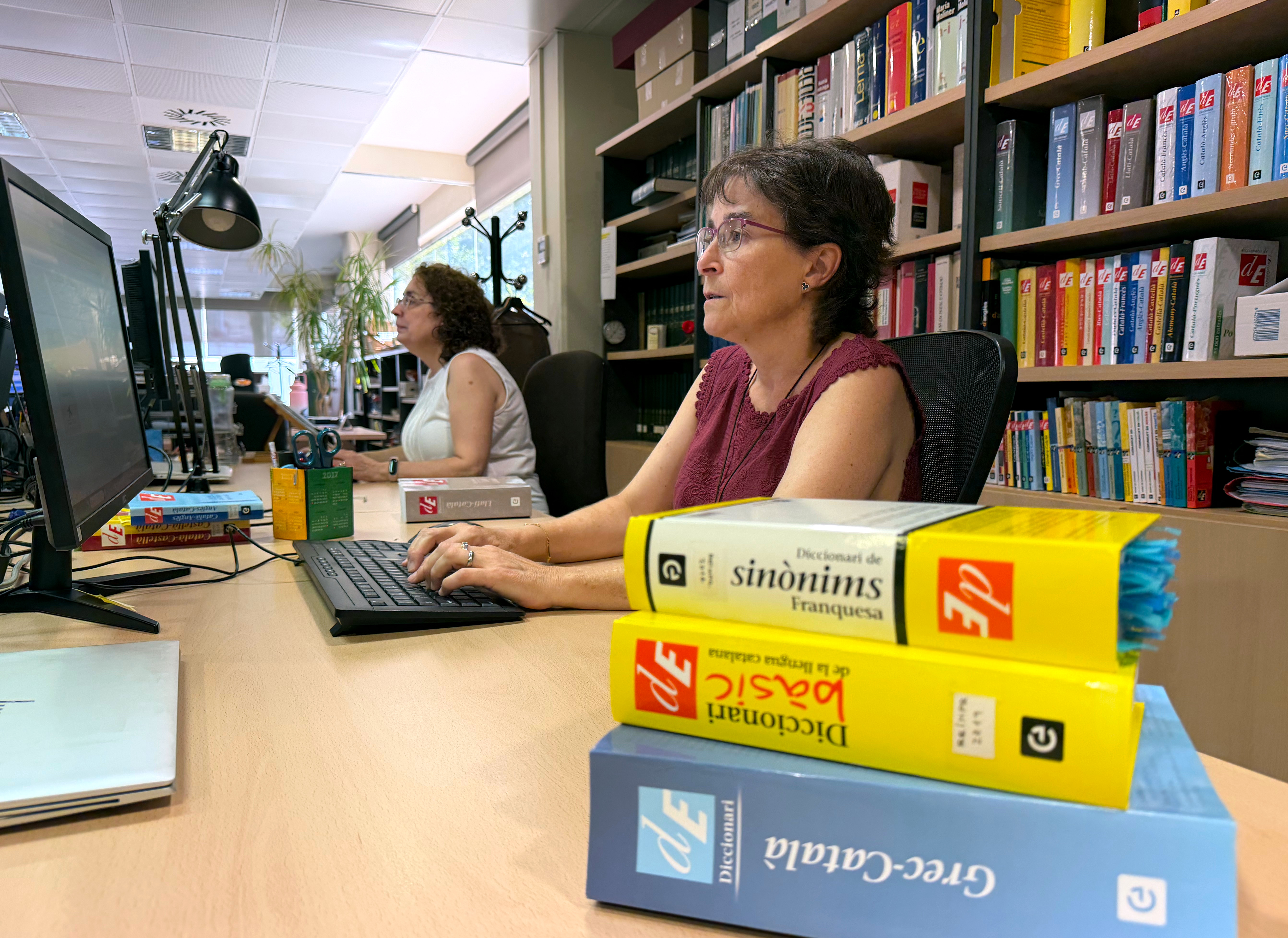 Managers of online search services Diccionari.cat and Enciclopèdia.cat
